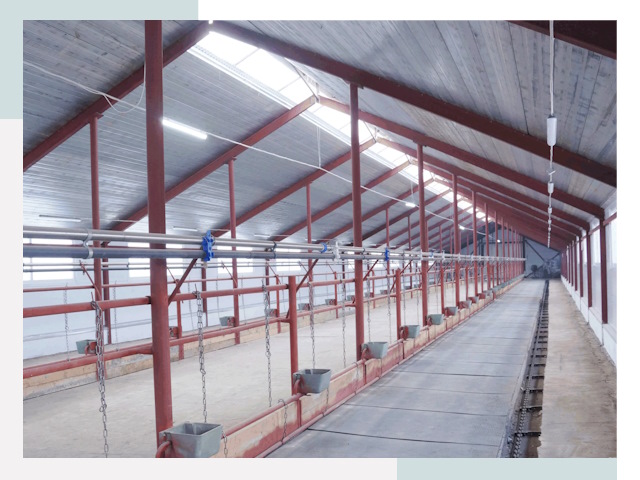 Строительство коровников в Лыткарине от 615 руб.