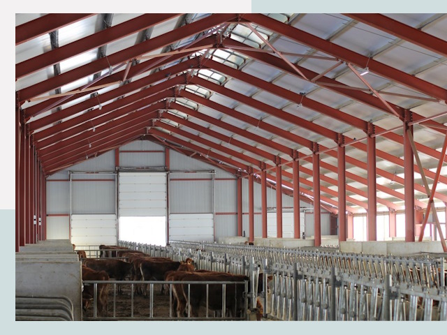 Строительство коровников в Лыткарине