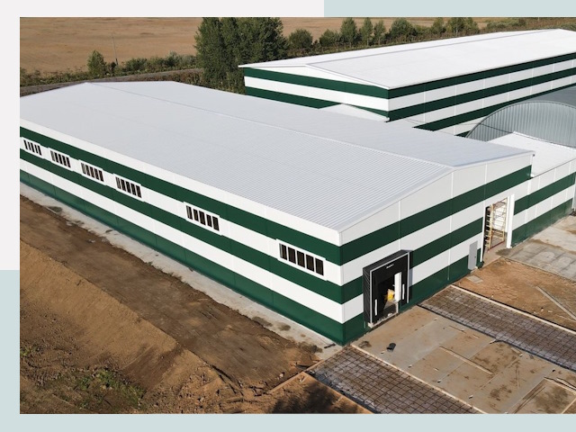 Строительство овощехранилищ в Лыткарине