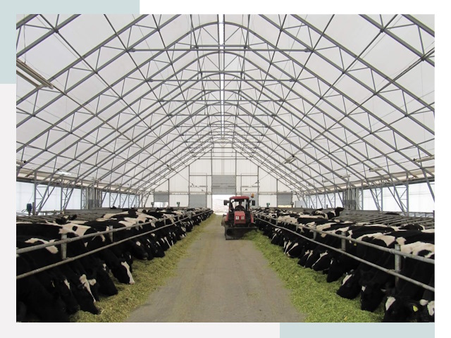 Тентовые коровники в Лыткарине от 615 руб. - Надежно и доступно