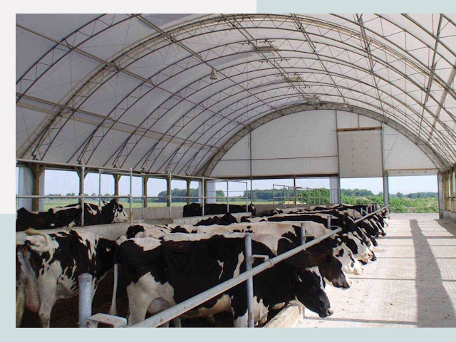 Тентовые коровники в Лыткарине