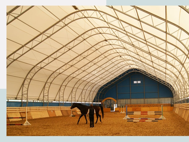 Строительство конных манежей в Лыткарине